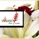 Elikonia Flores y Eventos