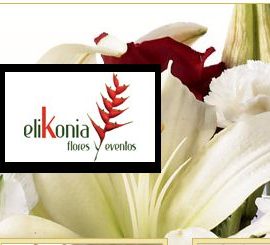 Elikonia Flores y Eventos