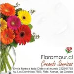 FLORAMOUR