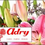 Florería Adry
