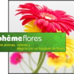 Boheme Arte Y Flores