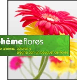 Boheme Arte Y Flores