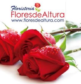 FLORES DE ALTURA