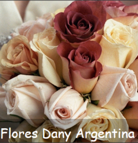 FLORES DANY