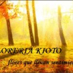 FLORES KIOTO