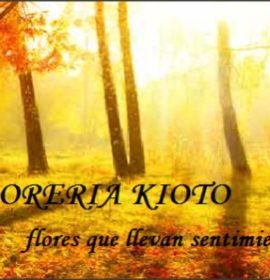 FLORES KIOTO