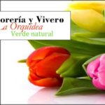 FLORERIA Y VIVERO LA ORQUIDEA