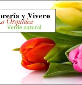 FLORERIA Y VIVERO LA ORQUIDEA