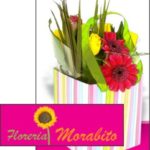 Florería Morabito HNOS
