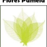 FLORES PAMELA