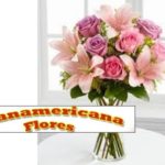 Florería Panamericana