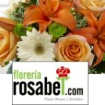 FLORERIAROSABEL.COM