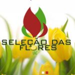 SELECAO DAS FLORES