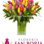 Florería San Borja