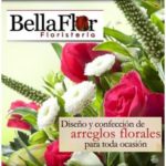 Bella Flor