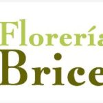FLORERIA BRICEIDA