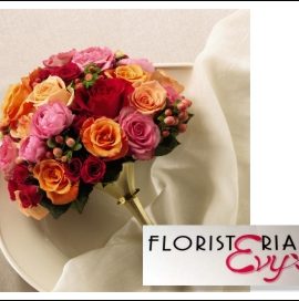 FLORISTERIA EVY