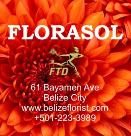 FLORASOL