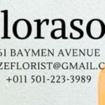 FLORASOL