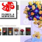 Flores y Servicios