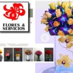 Flores y Servicios