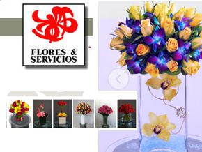 flores y servicios