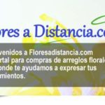 FLORES A DISTANCIA.COM