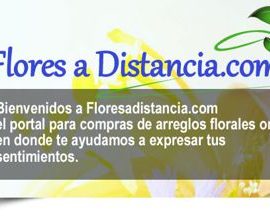 FLORES A DISTANCIA.COM