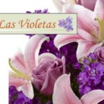 Florería Las Violetas