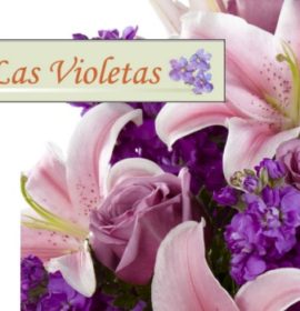 Florería Las Violetas