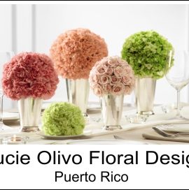 LUCIE OLIVO FLORAL DESIGNS