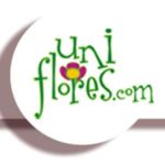 MULTI FLORES FLORIC LTDA