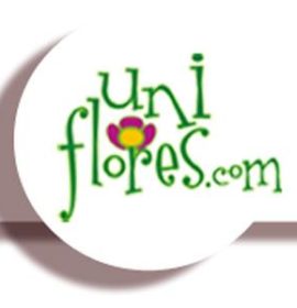 MULTI FLORES FLORIC LTDA