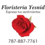 FLORISTERIA YESNID