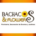 BACHACOS FLOWERS