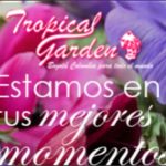 Trpopical Garden