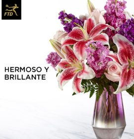 FLORERIA ORQUIDEA