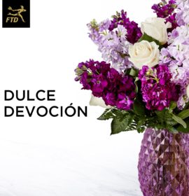 FLORES Y DETALLES