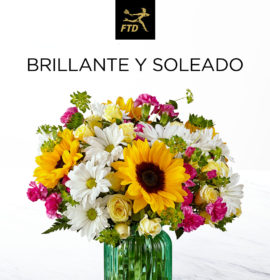 FLOR ARTE CHIHUAHUA