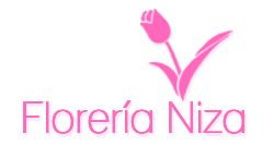 Florería Niza – Pachuca