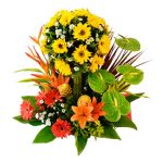 Estatus Floristeria