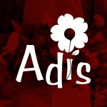 Adis Floristería And Balloons