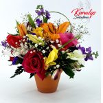 Koralys Sensations