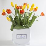 Floralia