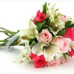 Floristería Veloz