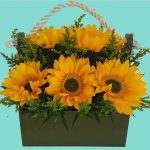 Floristería Brayliss