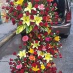Florería Gardenia