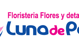 Flores Y Detalles Luna de Papel