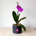 Florería Arantza