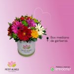 Petit Alheli